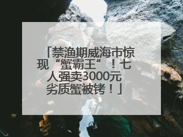 禁渔期威海市惊现“蟹霸王”！七人强卖3000元劣质蟹被铐！
