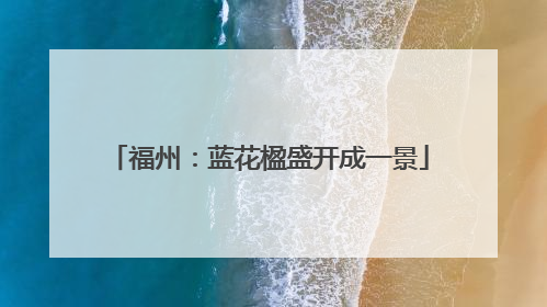 福州：蓝花楹盛开成一景