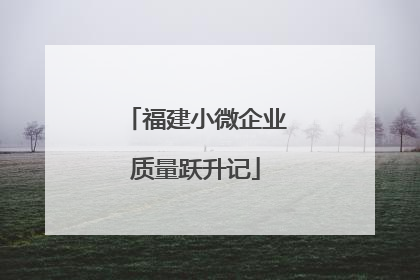 福建小微企业质量跃升记