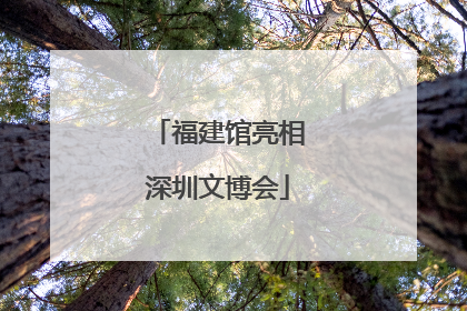 福建馆亮相深圳文博会