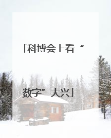 科博会上看“数字”大兴