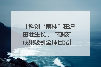 科创“雨林”在沪茁壮生长，“硬核”成果吸引全球目光
