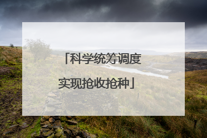 科学统筹调度实现抢收抢种