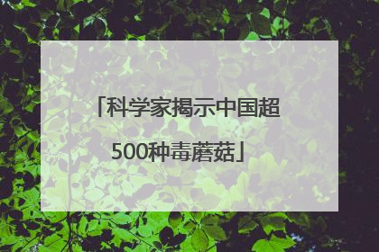 科学家揭示中国超500种毒蘑菇