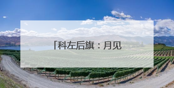 科左后旗：月见草铺就生态致富“可复制”新路