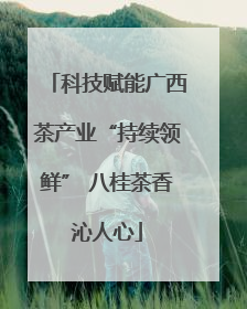 科技赋能广西茶产业“持续领鲜” 八桂茶香沁人心