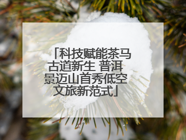 科技赋能茶马古道新生 普洱景迈山首秀低空文旅新范式