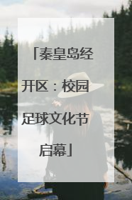秦皇岛经开区：校园足球文化节启幕