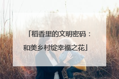 稻香里的文明密码：和美乡村绽幸福之花