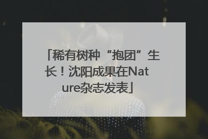 稀有树种“抱团”生长！沈阳成果在Nature杂志发表