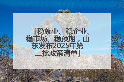 稳就业、稳企业、稳市场、稳预期，山东发布2025年第二批政策清单