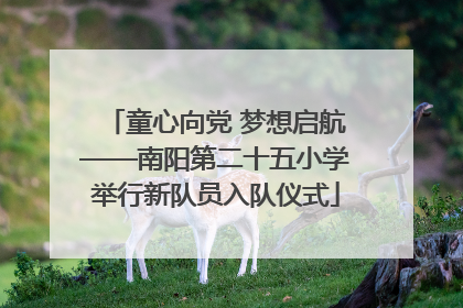 童心向党 梦想启航——南阳第二十五小学举行新队员入队仪式