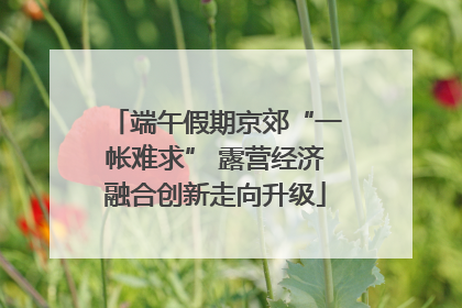 端午假期京郊“一帐难求” 露营经济融合创新走向升级