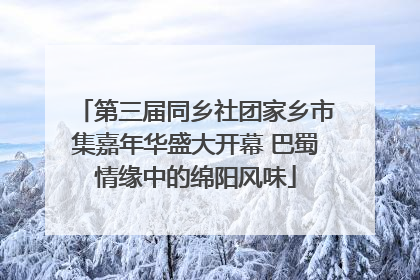 第三届同乡社团家乡市集嘉年华盛大开幕 巴蜀情缘中的绵阳风味