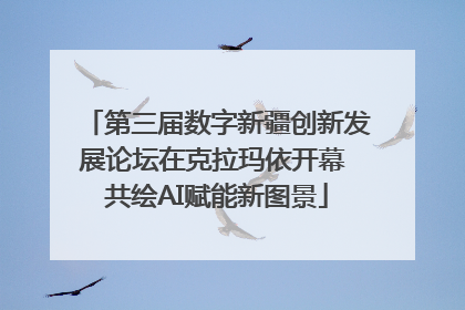 第三届数字新疆创新发展论坛在克拉玛依开幕 共绘AI赋能新图景