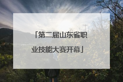 第二届山东省职业技能大赛开幕