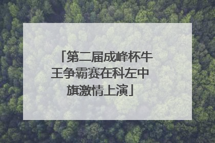 第二届成峰杯牛王争霸赛在科左中旗激情上演