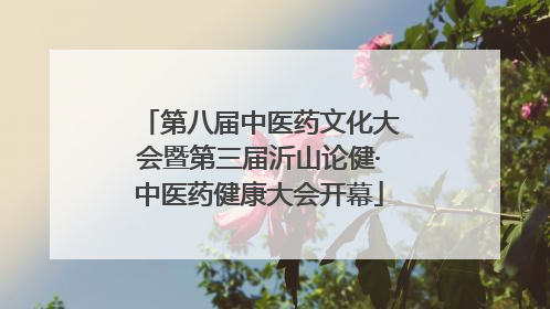 第八届中医药文化大会暨第三届沂山论健·中医药健康大会开幕