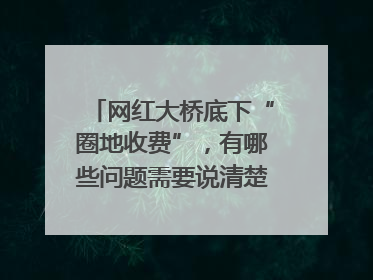 网红大桥底下“圈地收费”，有哪些问题需要说清楚｜新京报快评