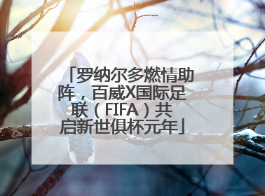 罗纳尔多燃情助阵，百威X国际足联（FIFA）共启新世俱杯元年