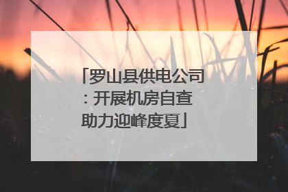 罗山县供电公司：开展机房自查 助力迎峰度夏