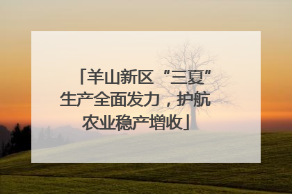 羊山新区“三夏”生产全面发力，护航农业稳产增收