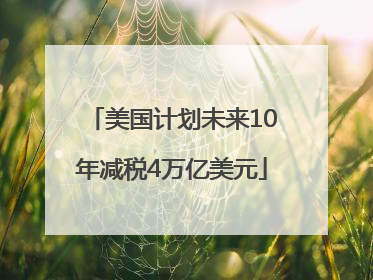 美国计划未来10年减税4万亿美元