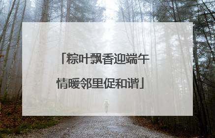 粽叶飘香迎端午 情暖邻里促和谐