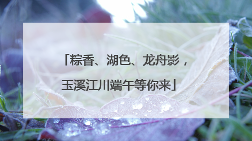 粽香、湖色、龙舟影，玉溪江川端午等你来