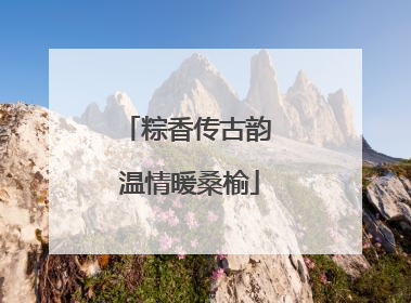粽香传古韵 温情暖桑榆