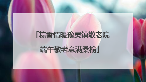 粽香情暖豫灵镇敬老院 端午敬老意满桑榆