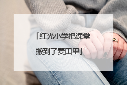 红光小学把课堂搬到了麦田里