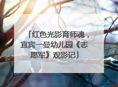 红色光影育师魂，宜宾一曼幼儿园《志愿军》观影记
