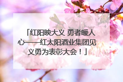 红阳映大义 勇者暖人心——红太阳酒业集团见义勇为表彰大会！
