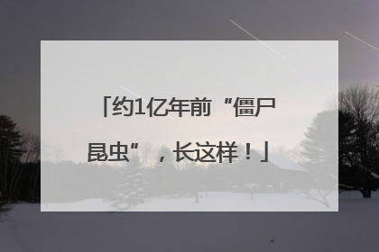 约1亿年前“僵尸昆虫”，长这样！