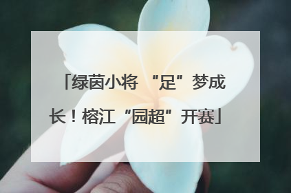 绿茵小将 “足”梦成长！榕江“园超”开赛