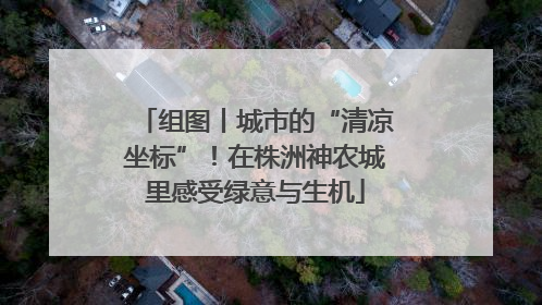 组图丨城市的“清凉坐标”！在株洲神农城里感受绿意与生机