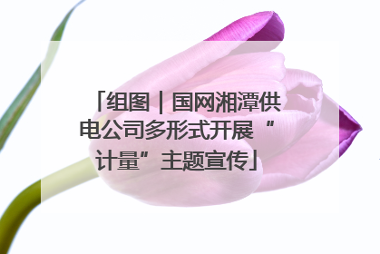 组图｜国网湘潭供电公司多形式开展“计量”主题宣传