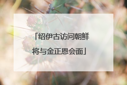 绍伊古访问朝鲜 将与金正恩会面
