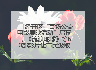 经开区“百场公益电影展映活动”启幕，《流浪地球》等60部影片让市民汲取奋进力量