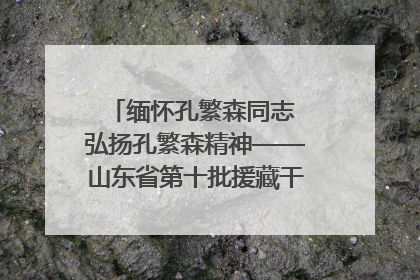 缅怀孔繁森同志 弘扬孔繁森精神——山东省第十批援藏干部人才清明节前到岗巴县开展党性教育