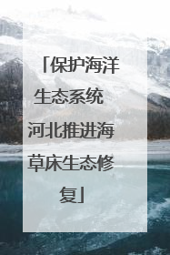 保护海洋生态系统 河北推进海草床生态修复