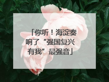 你听！海淀奏响了“强国复兴有我”最强音