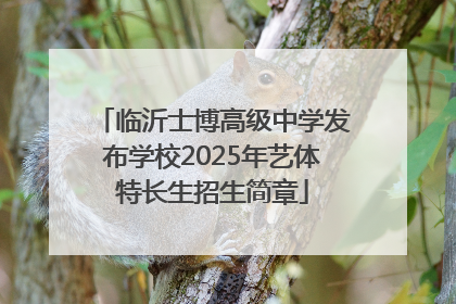 临沂士博高级中学发布学校2025年艺体特长生招生简章