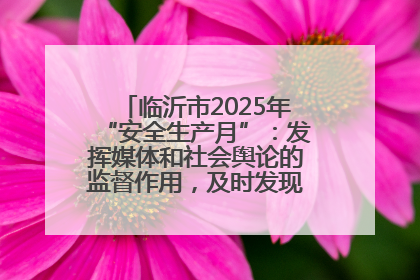 临沂市2025年“安全生产月”：发挥媒体和社会舆论的监督作用，及时发现并消除安全隐患