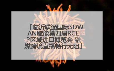 临沂联通国际SDWAN赋能第四届RCEP区域进口博览会 融媒跨境直播畅行无阻