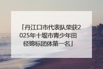 丹江口市代表队荣获2025年十堰市青少年田径锦标团体第一名