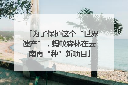 为了保护这个“世界遗产”，蚂蚁森林在云南再“种”新项目