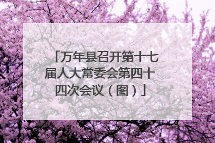 万年县召开第十七届人大常委会第四十四次会议（图）