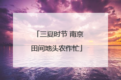 三夏时节 南京田间地头农作忙
